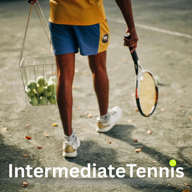 Intermediate Tennis Lessons in Naples – Flexible Scheduling & Free Equipment – Book Online – Provided by Racqueteers on TurtlesEgg Marketplace
