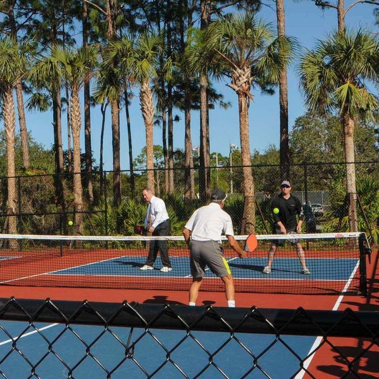 Beginner’s Pickleball Lessons in Naples – Flexible Scheduling & Free Equipment – by Racqueteers on TurtlesEgg Marketplace